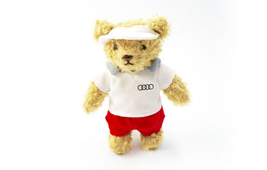 Audi Collection